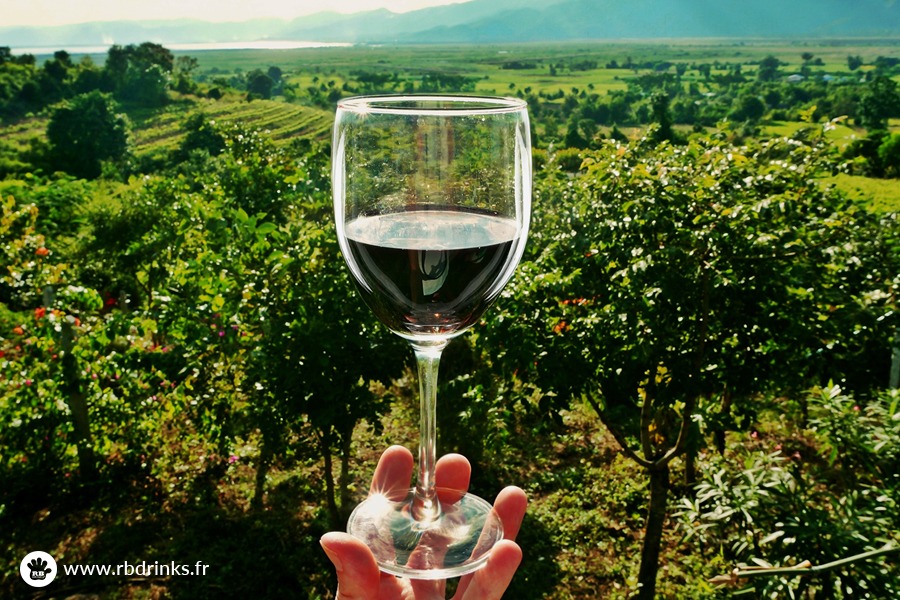 Qu’est-ce que le vin vegan ?