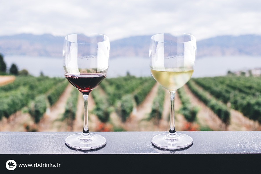 Les différences entre le vin blanc et le vin rouge
